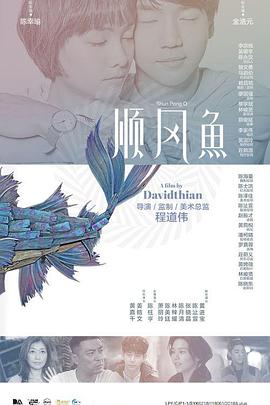 诱人的飞行